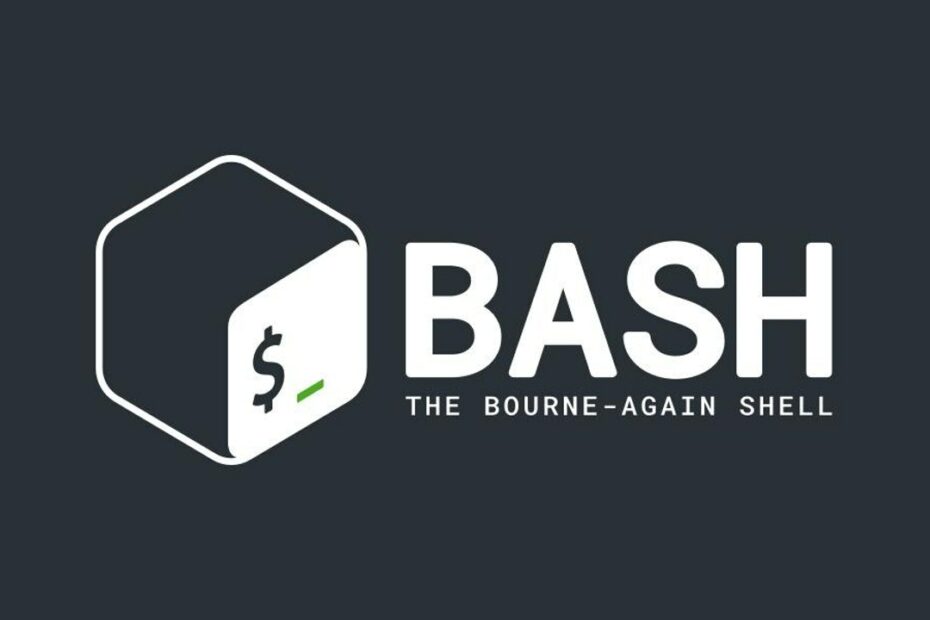 Bash